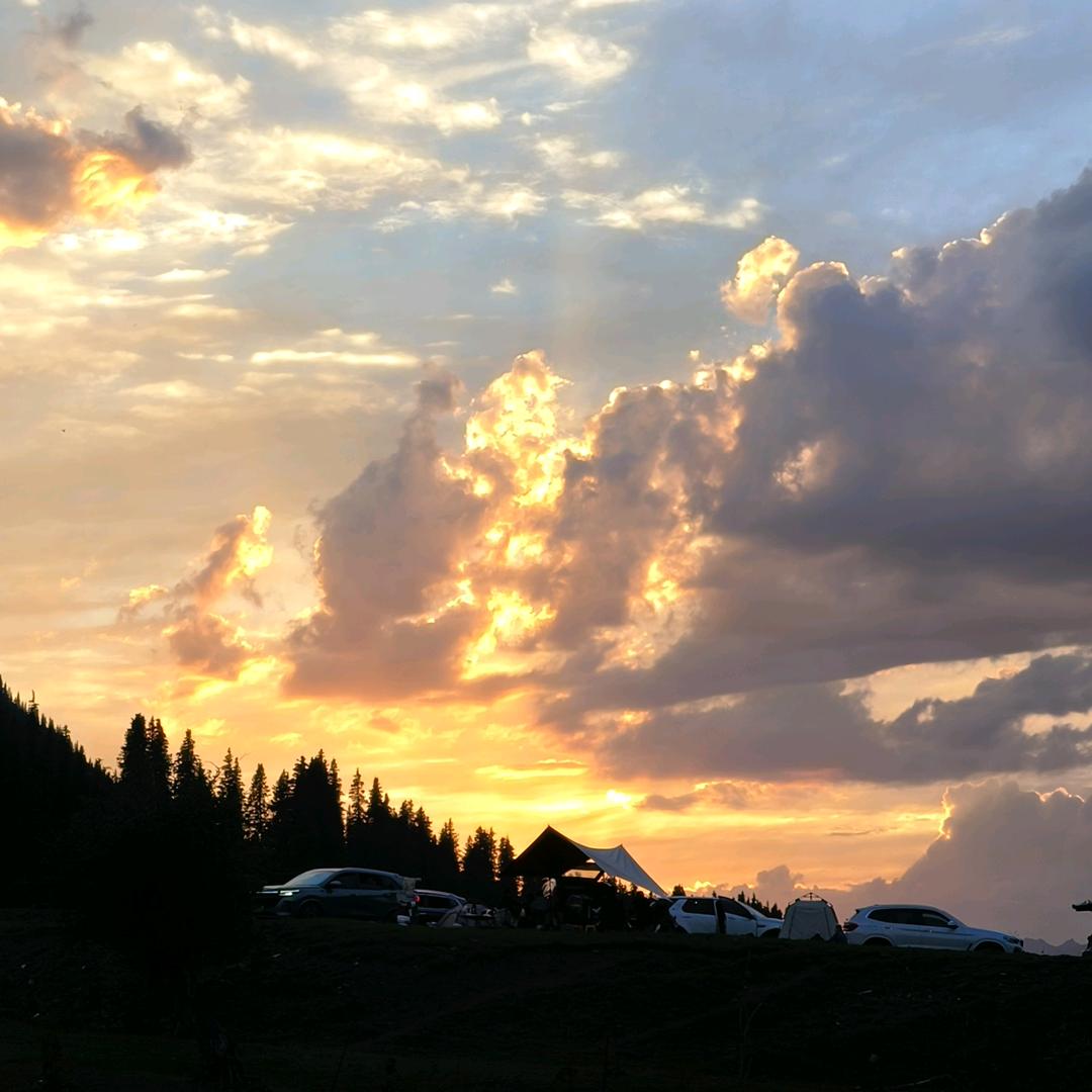 云醉月微眠(拒私聊)