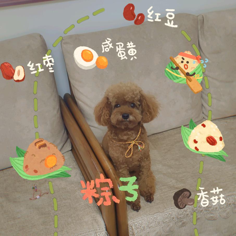 用户1305247561778