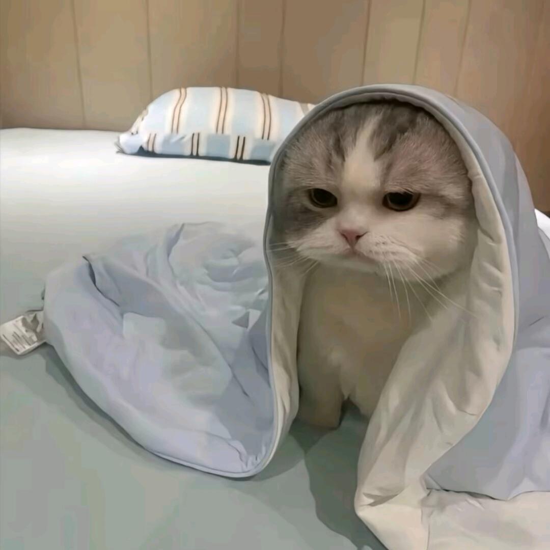 💔