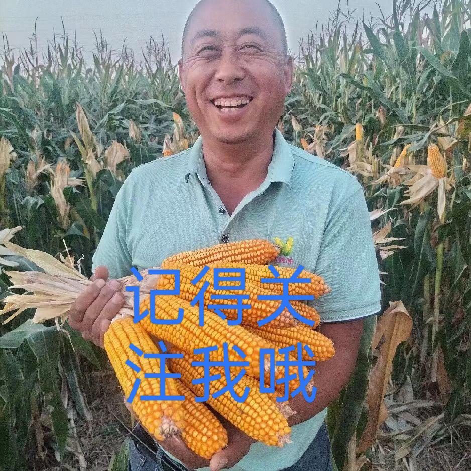 农资人聊农业
