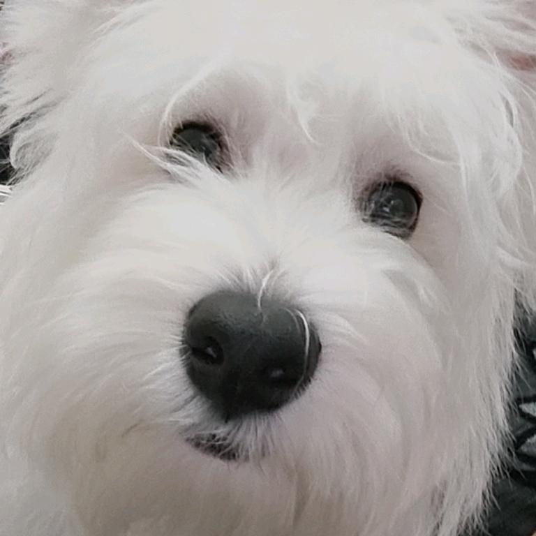 ONENOONE(求推荐关注版)