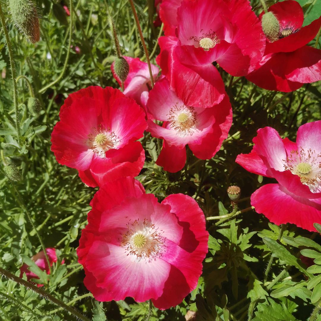 渔趣休闲农庄           T小姐