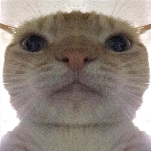 ୧⍤⃝