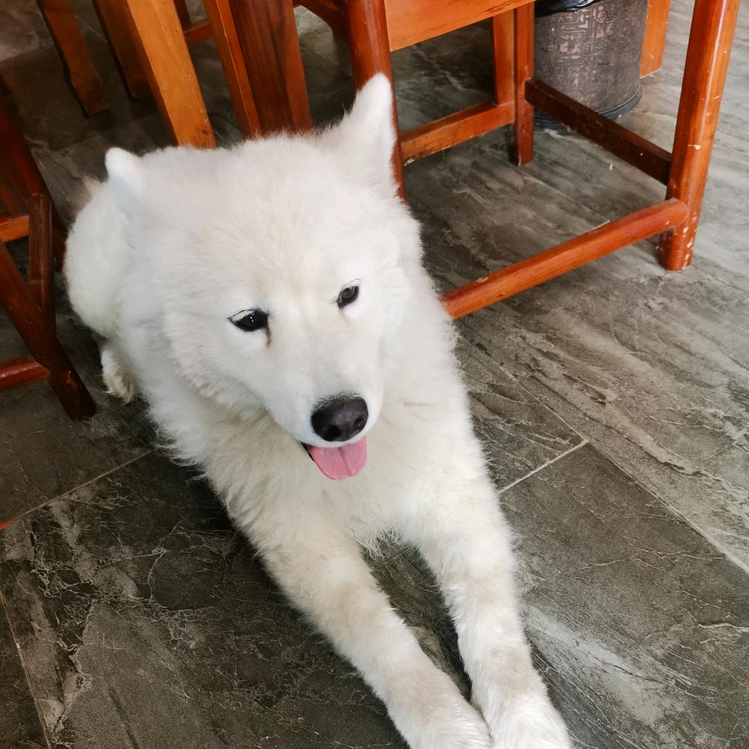 你莫走，我不走，出来喝啤酒