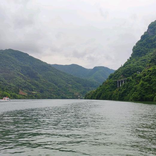 提笔含情写出丶