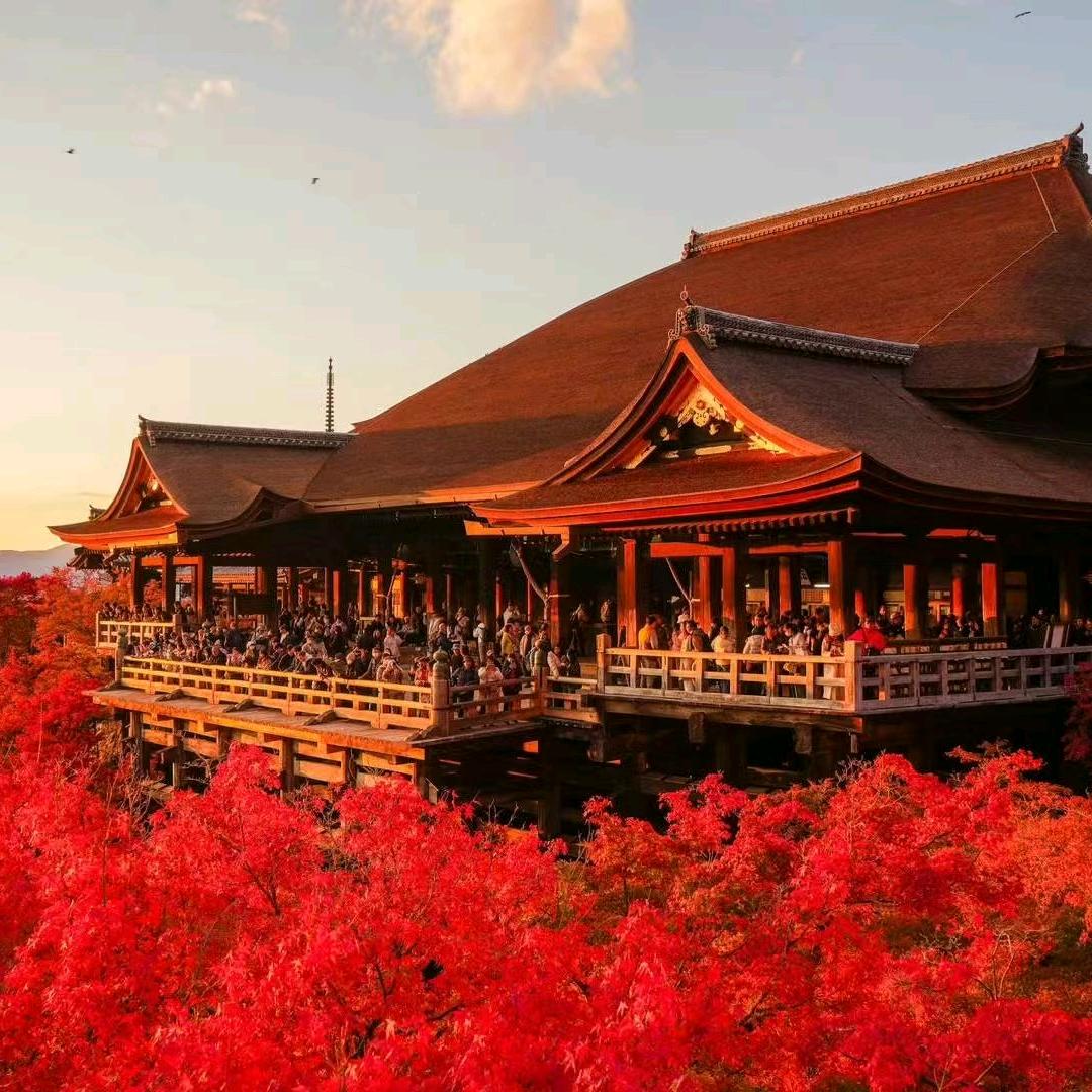 棉棉怪喜欢糖葫芦小糖