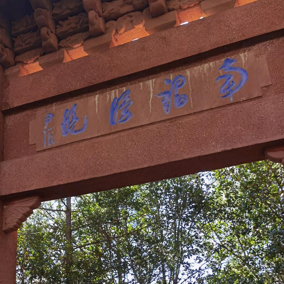 米艺的记忆