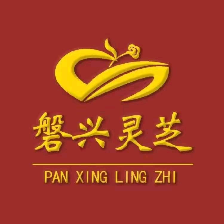 磐松灵芝邂逅盘食滋补养生专卖店