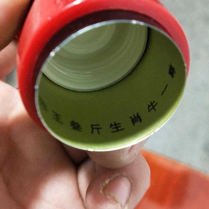 柳如风