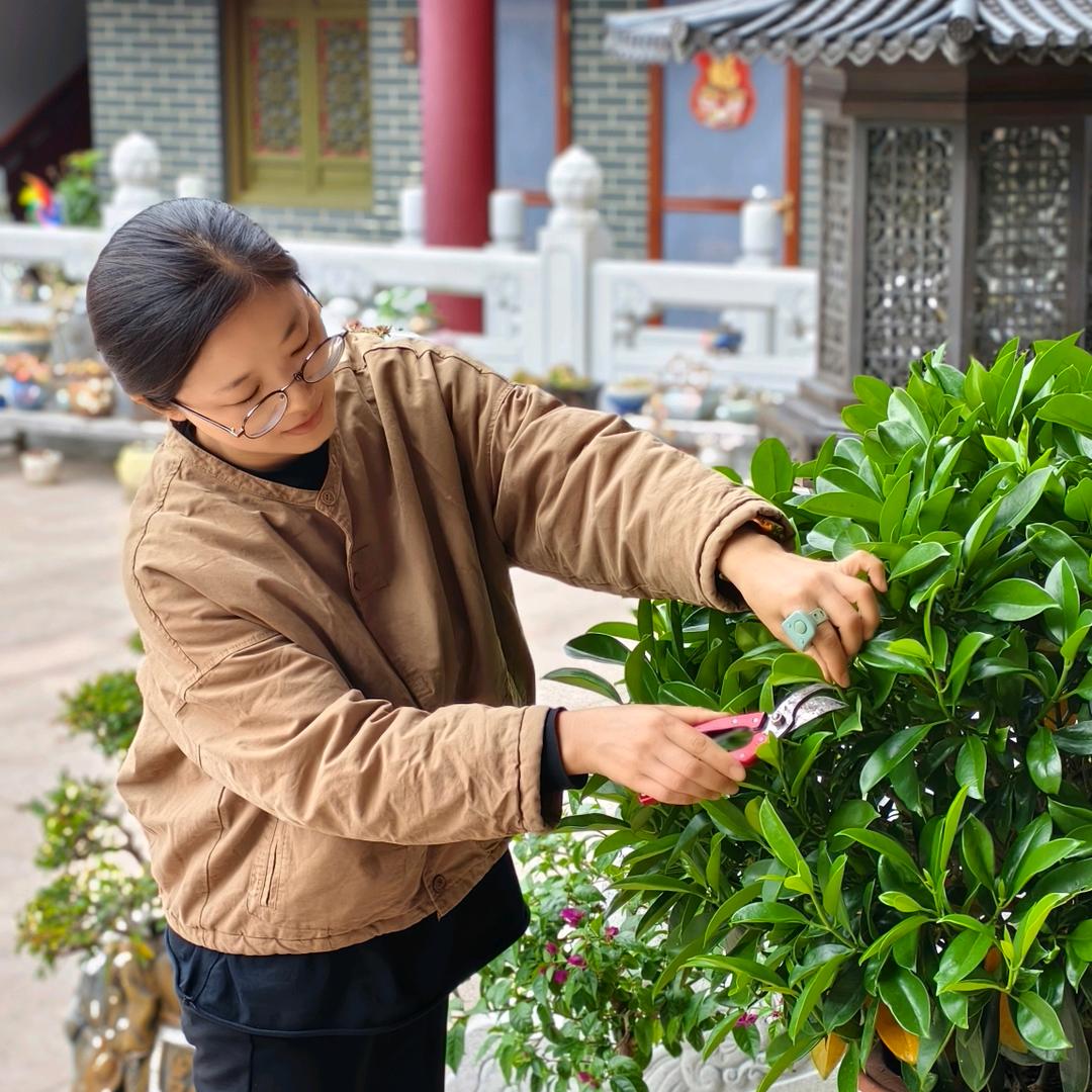 欢乐嵩