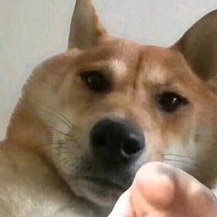 空翻小飞