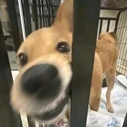 1113