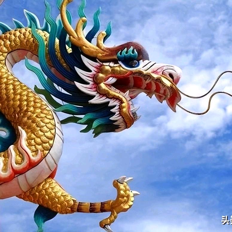 蛟龙来啦