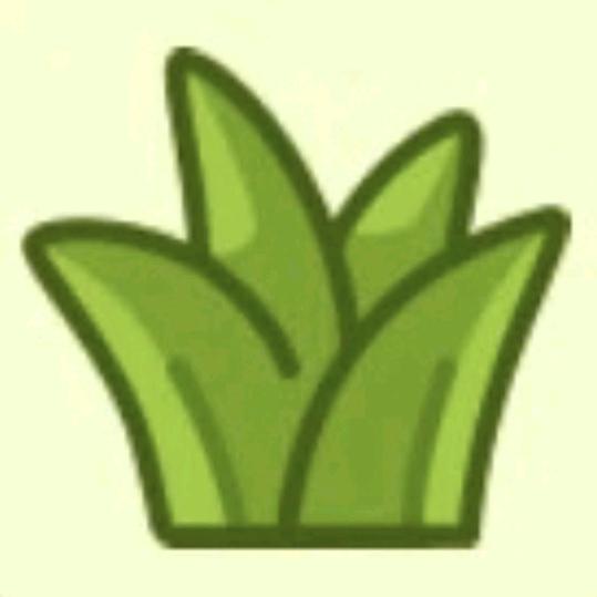 麦橙子