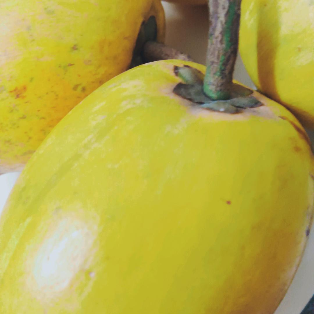 岁月静好！！！