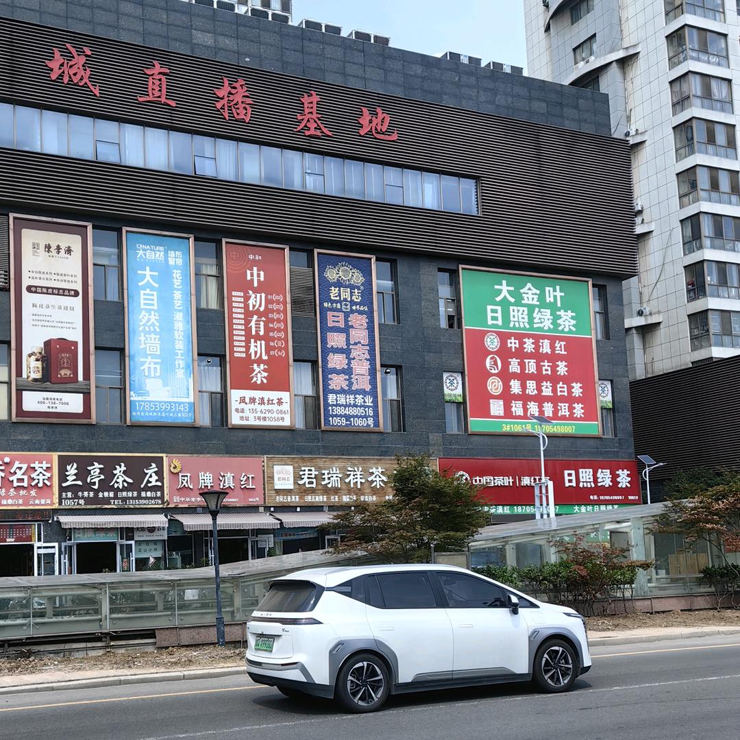 大金的茶叶
