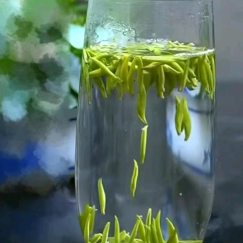 贵州高山普安红茶