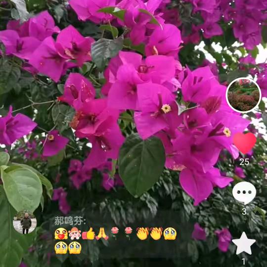 快乐哥