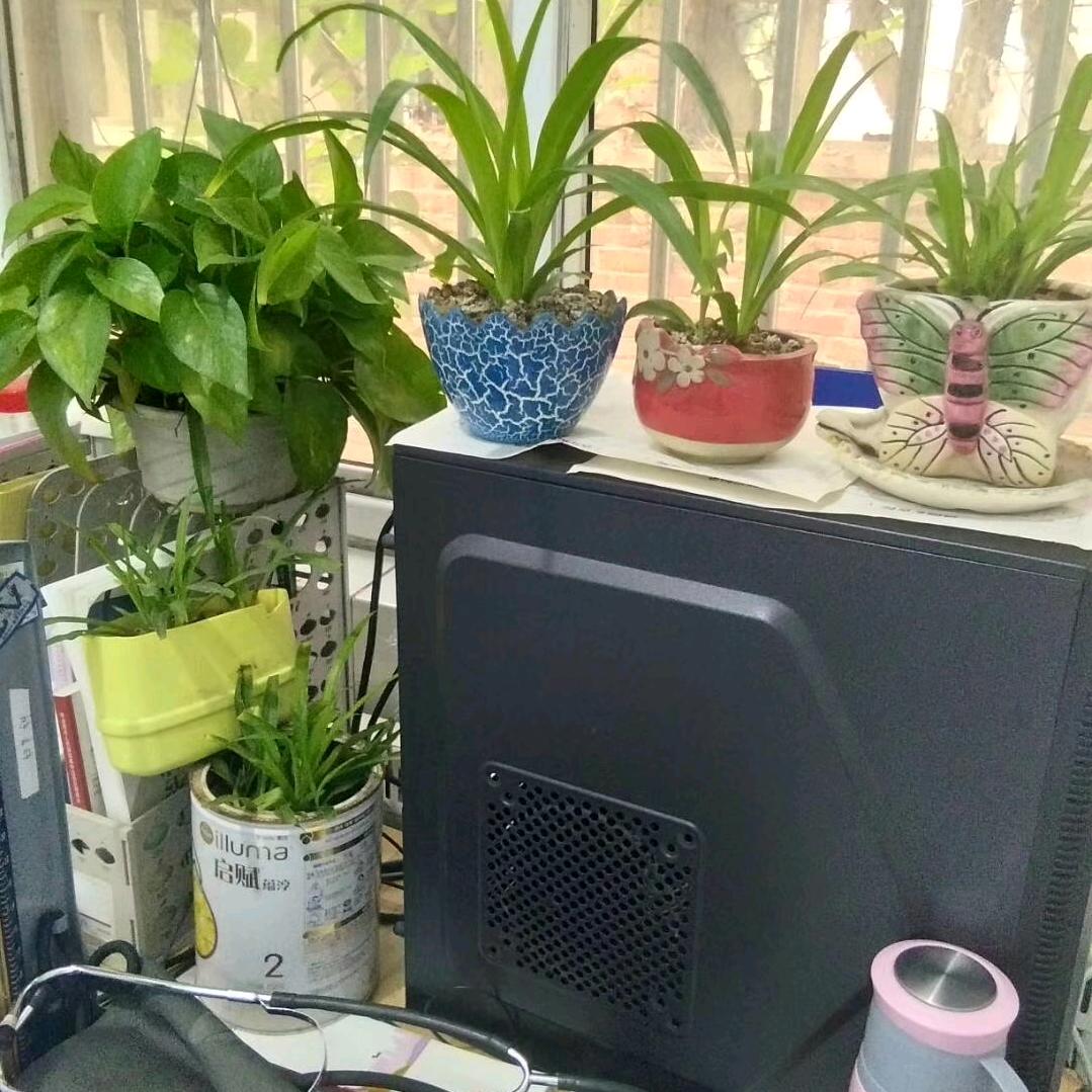 萍