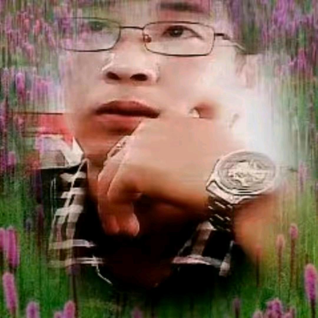 祥旺台铃电动车