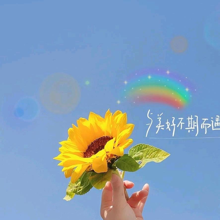 ノ☀攒快乐🥂