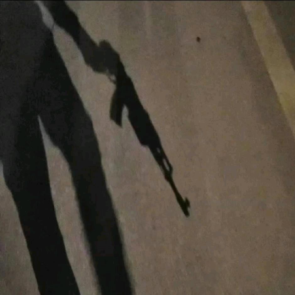鲨鱼