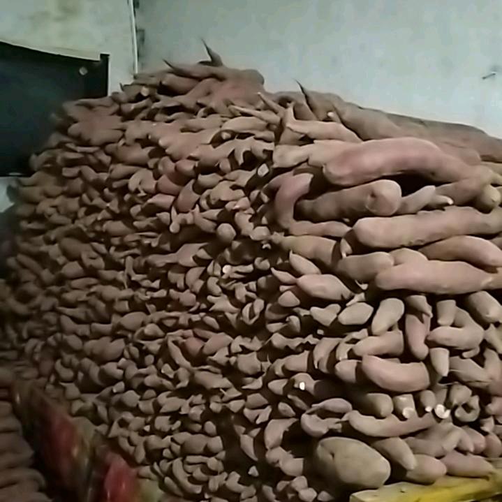 💃🐉開🐉着路虎🚘🐉追美女💃