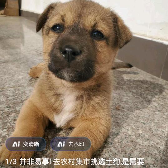 之选默然相艾精品店