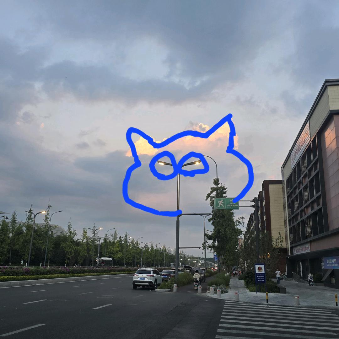 肥刘