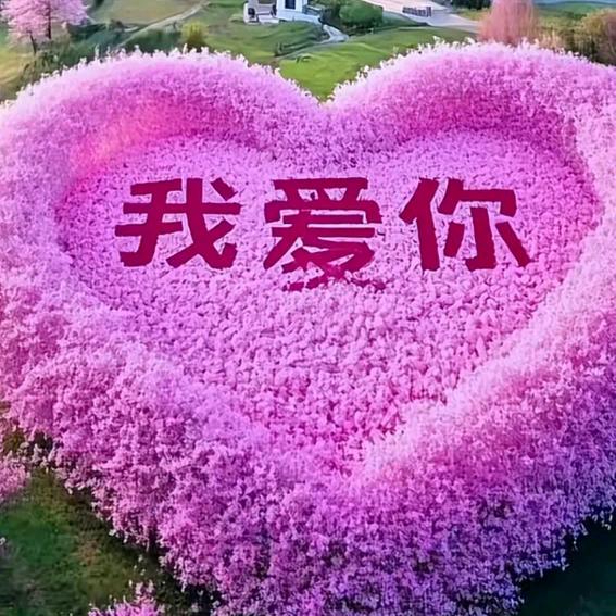 静静吖