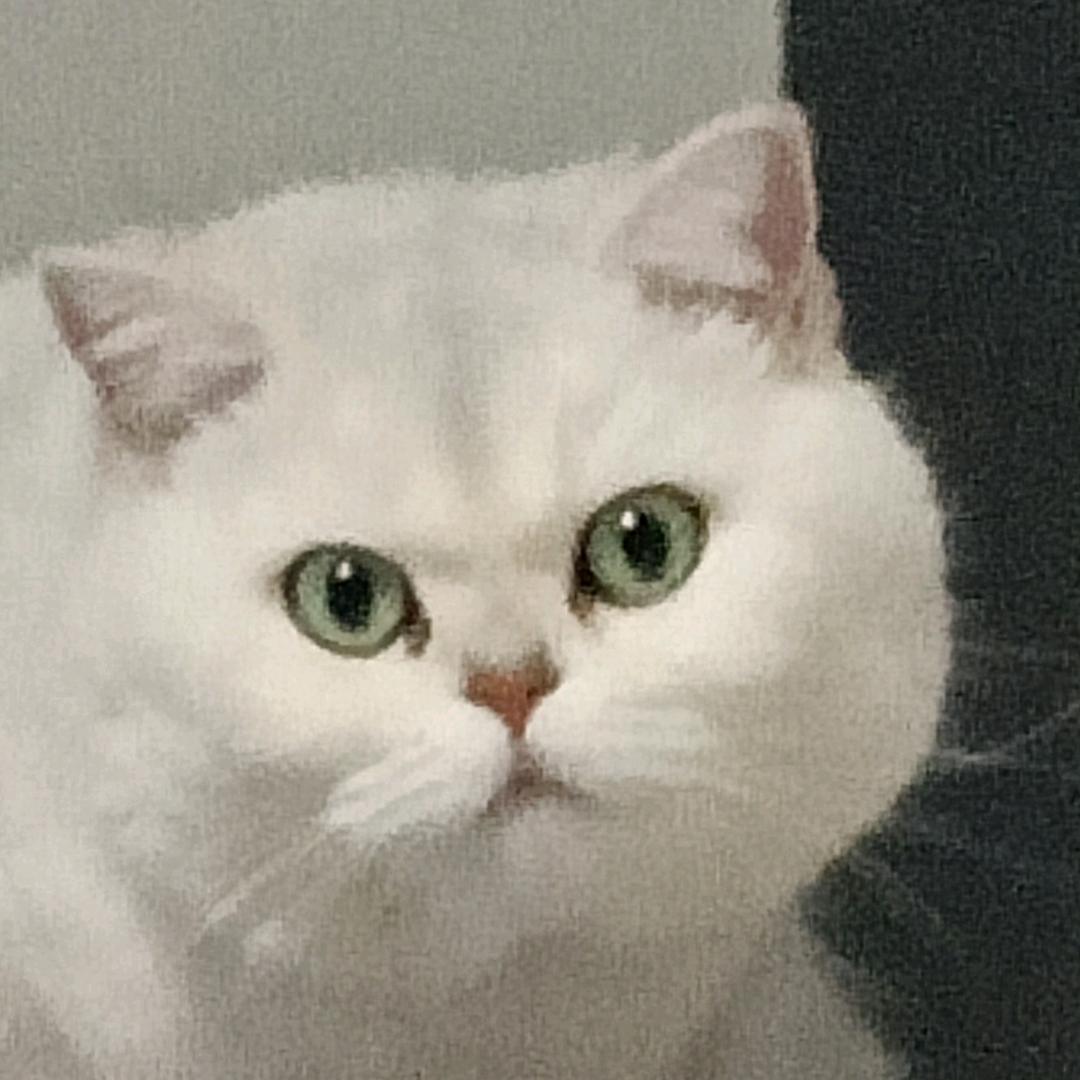 一生无悔