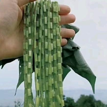 拾三弟 ¹⁹¹⁵