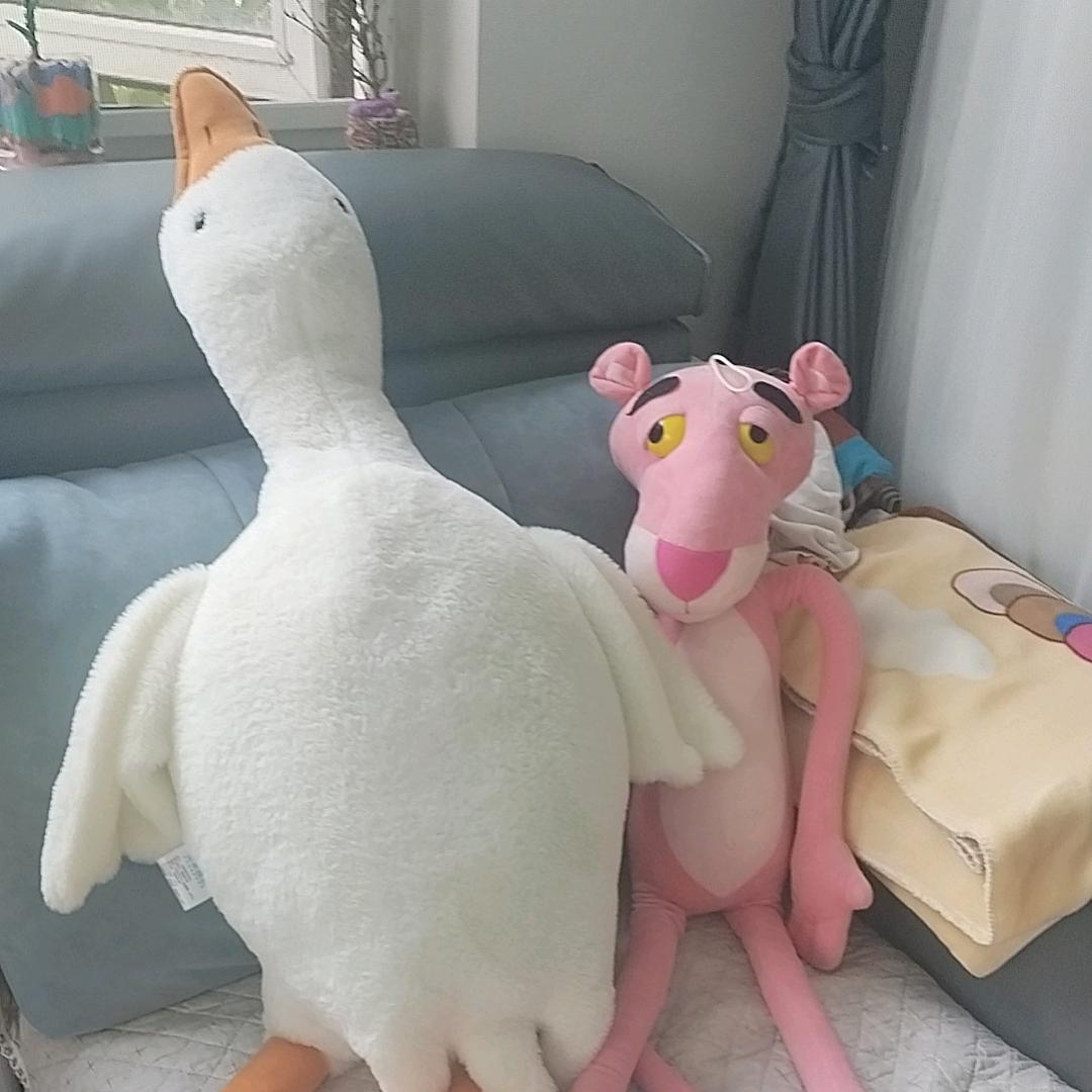 云淡风轻👩‍❤️‍👩