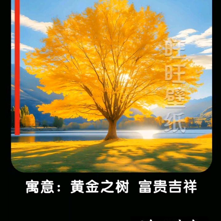 小群《拒私聊》