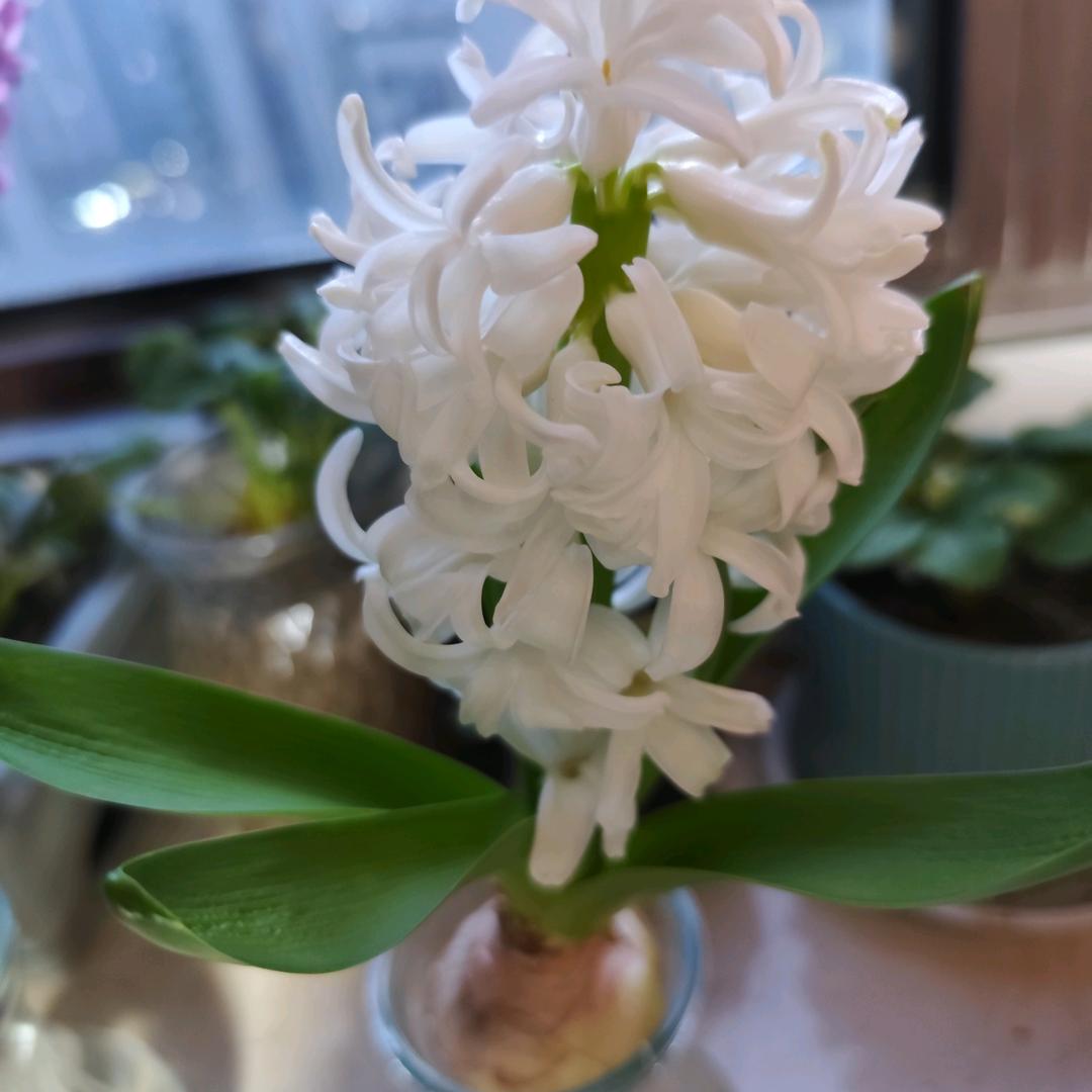 光阴似箭
