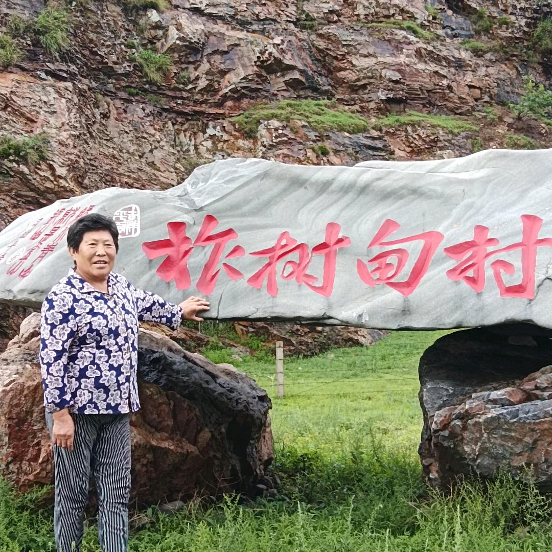 凤珍