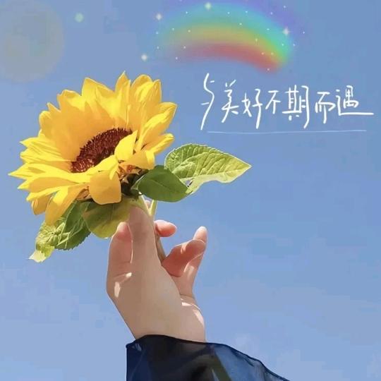 🍊平安果🍎拒绝私聊