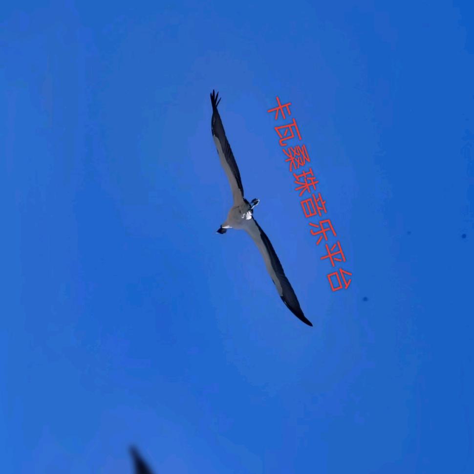 卡瓦桑珠音乐平台