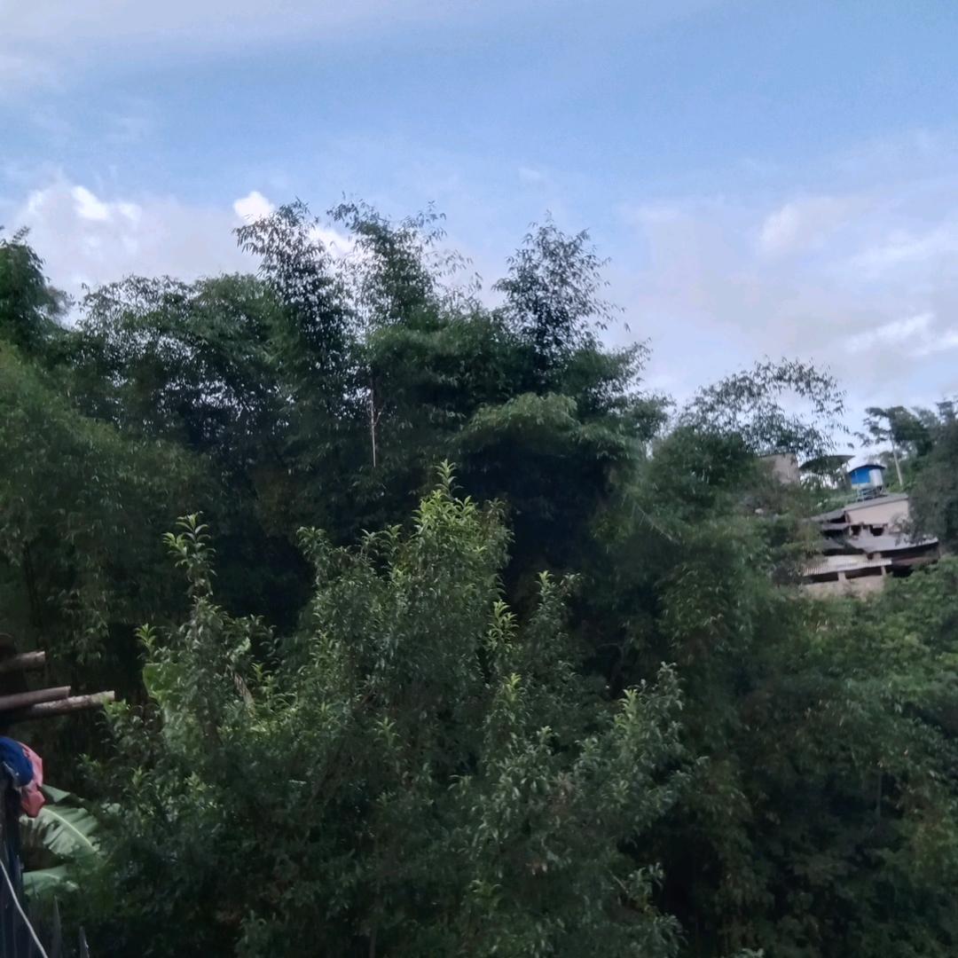 用户有你真好