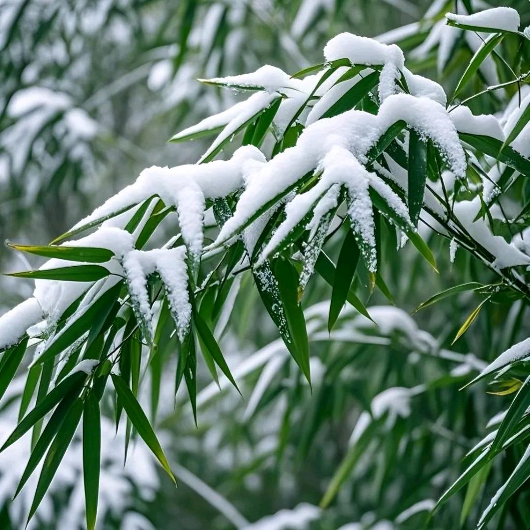 酒水经销