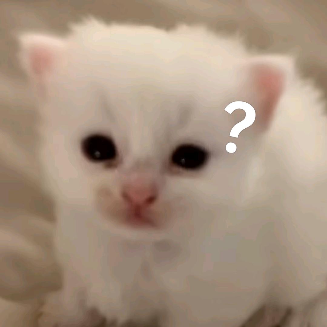 心动.