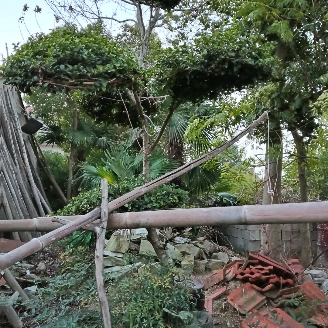 用户6074121410156喻德燕