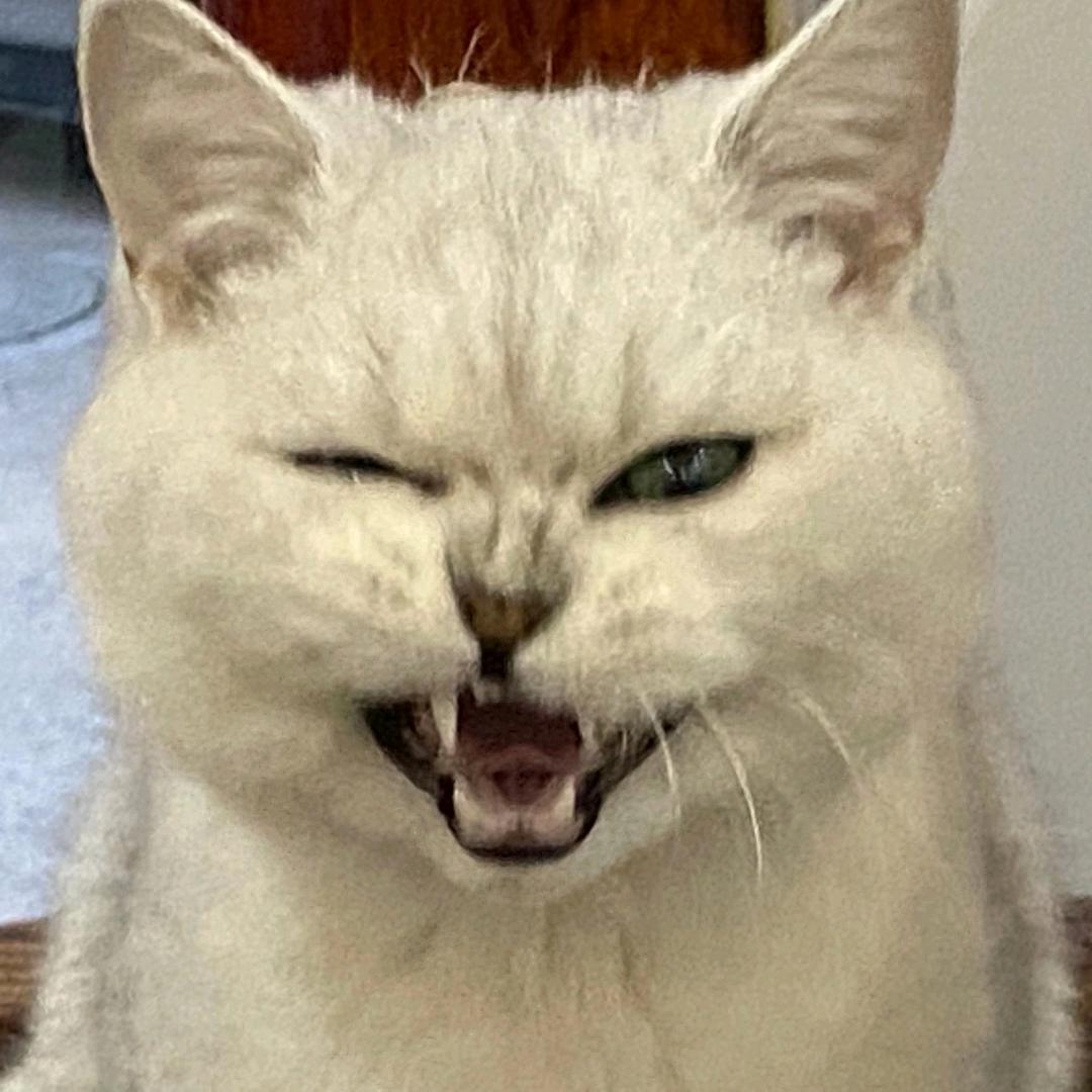 郓城四序餐饮店