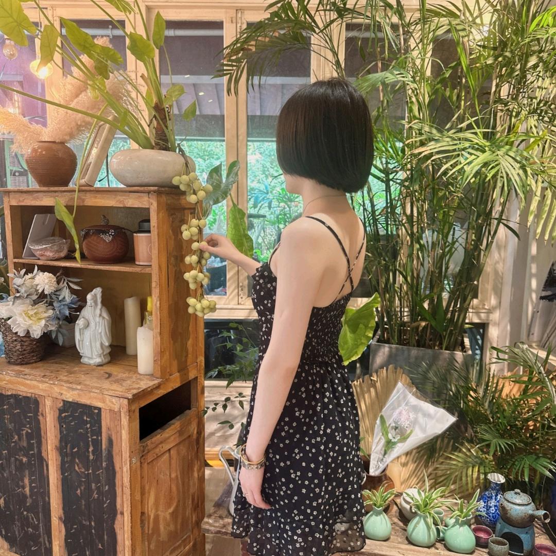 斯佳客