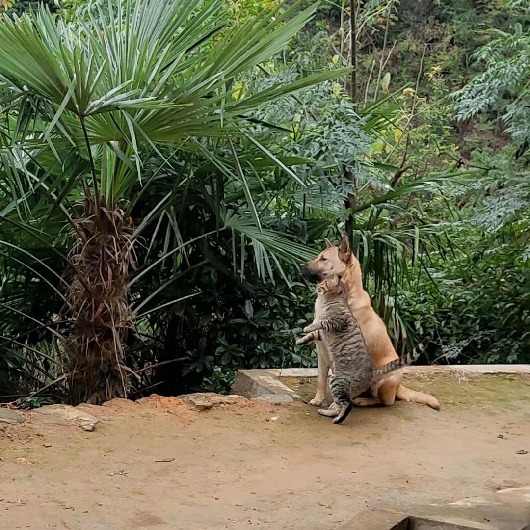 吸管咬了又咬了