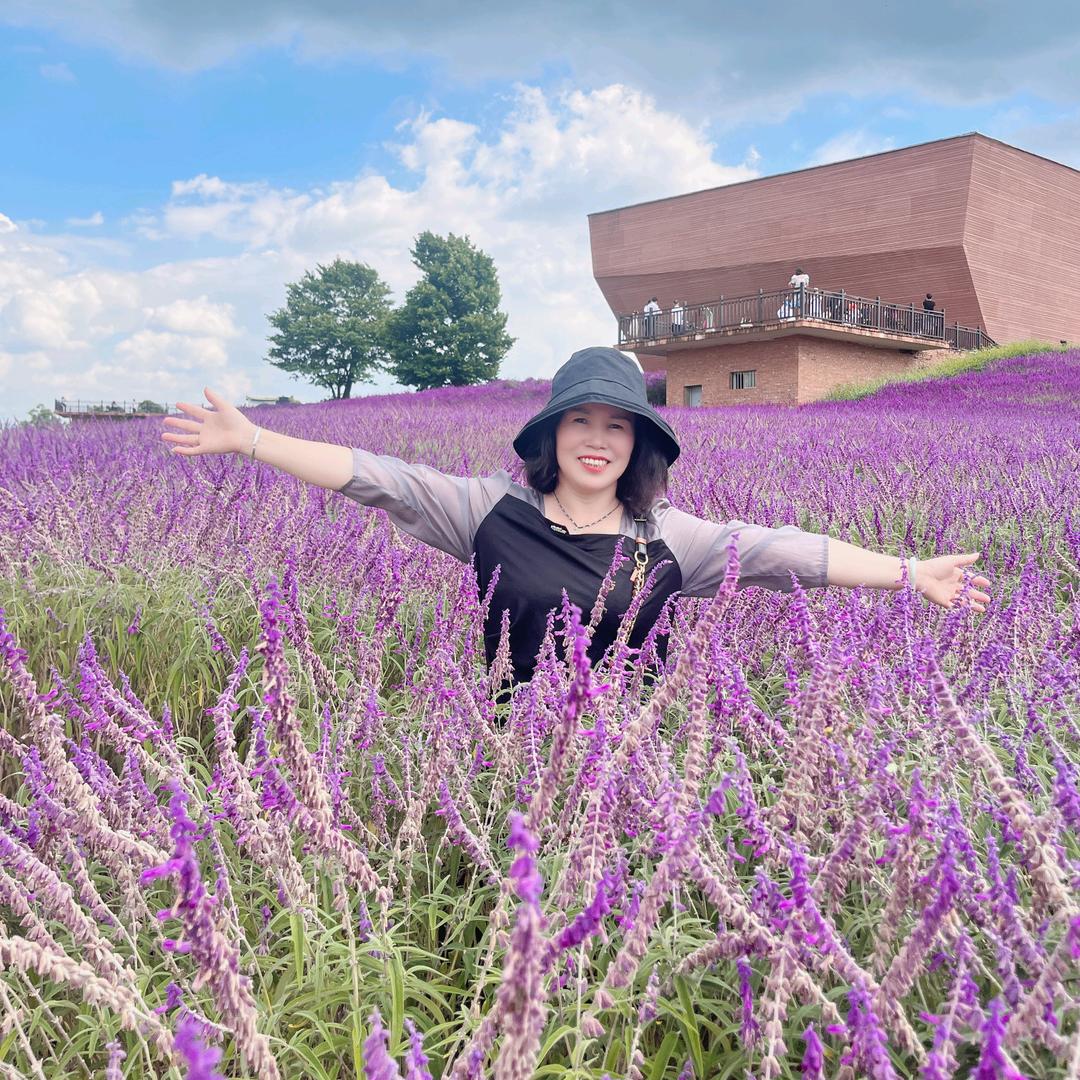 雾里看花🌻