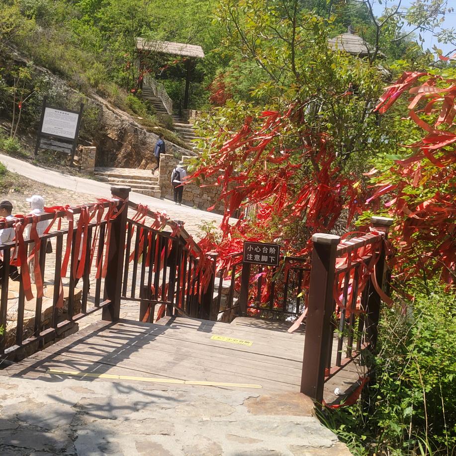 回忆总想哭‘