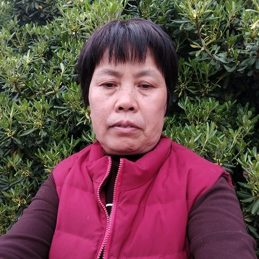 河南张姐：早上9点10分开播