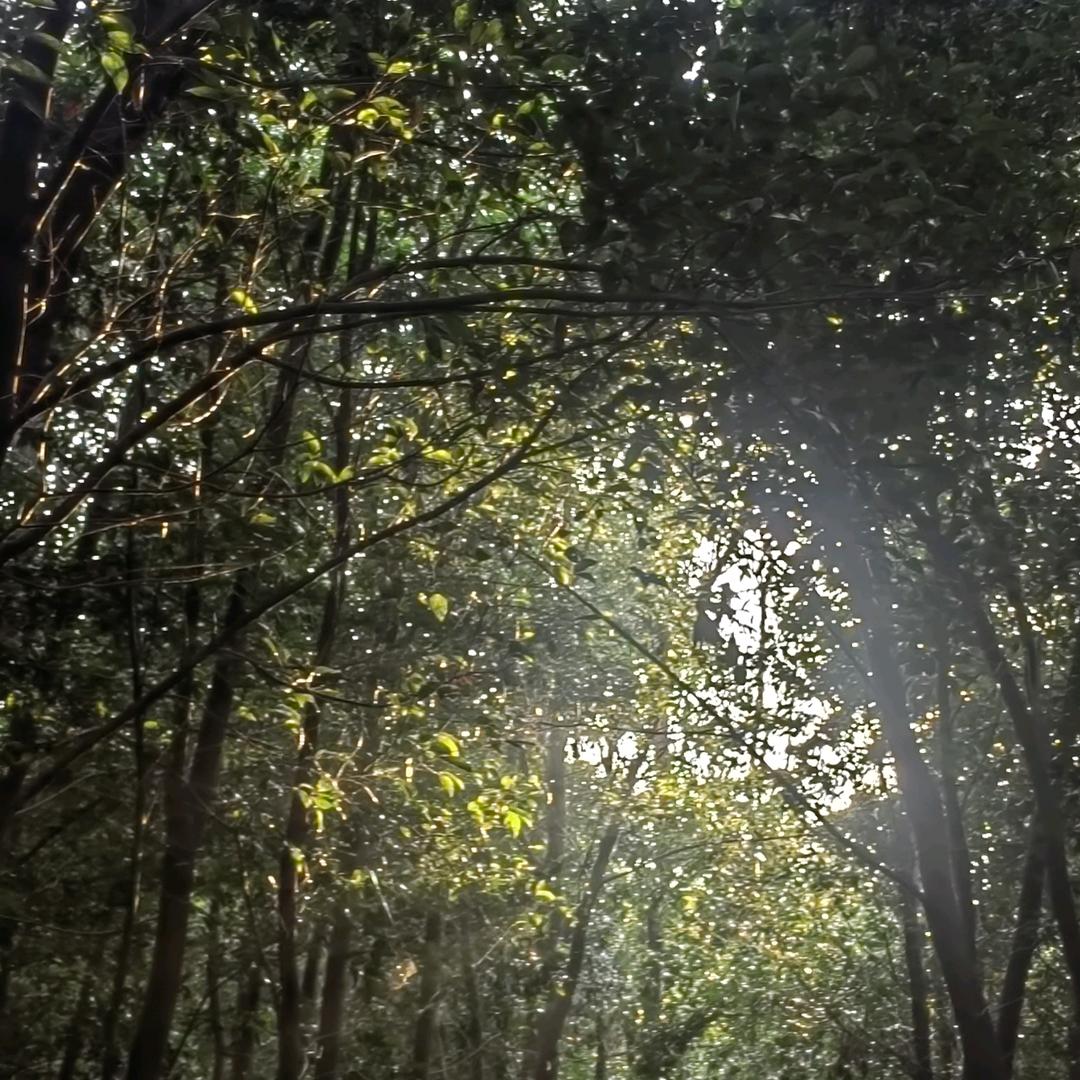 余生不将就( ˘ ³˘