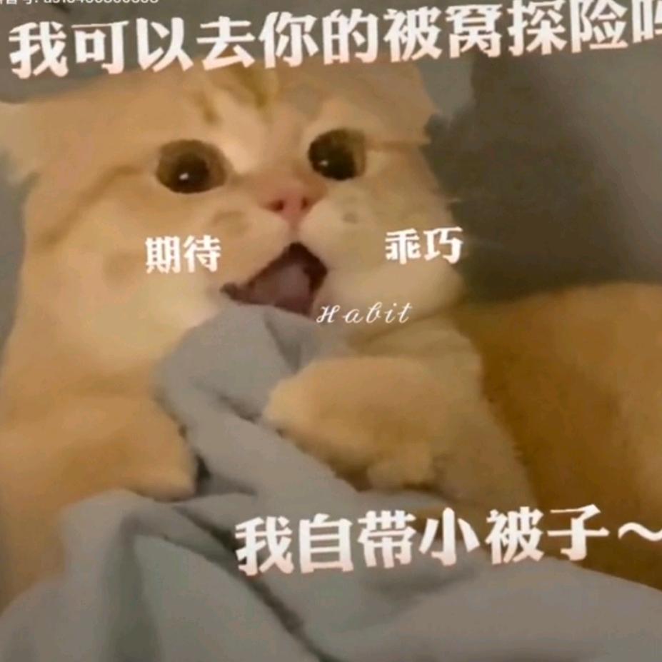 姐姐脚丫是糖做的嘛！好甜！